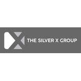 Silver X Logo
