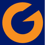 Intelligo Software Logo