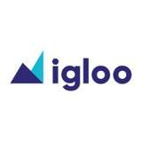 Igloo Trading Solutions Logo