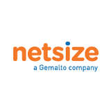 Netsize Logo