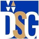 Diversified Search Group Logo