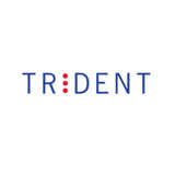 Trident Systems Logo
