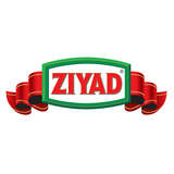 Ziyad Logo
