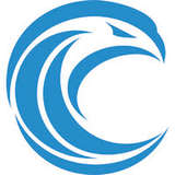 Clearwater Defense Systems Logo