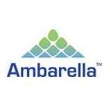 Ambarella Logo