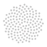 True Botanicals Logo