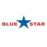 Blue Star Foods Logo