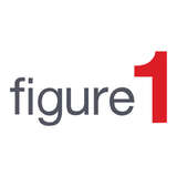 Figure 1 Logo