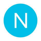 Noodle Logo