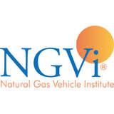 NGVi Logo