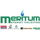 Meritum Energy Logo