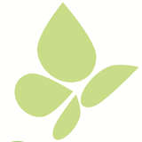 Pieridae Energy Logo