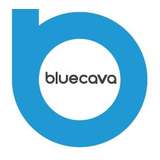 BlueCava Logo