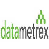 Datametrex Logo