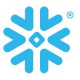 Snowflake Logo