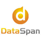 DataSpan Logo