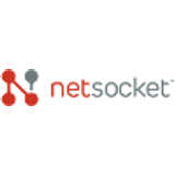 Netsocket Logo