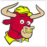 The BullBag Logo