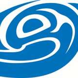 Natural Systems Design Logo