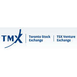 Toronto Stock Exchange Logo