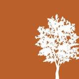 Cottonwood Communities Logo