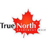 True North Commercial Logo