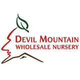 Devil Mountain Nursery Logo