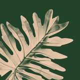 Bloomscape Logo