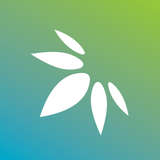 Surterra Wellness Logo