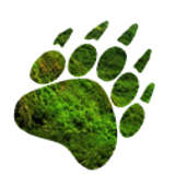 Solarvest Bioenergy Logo