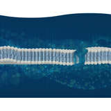 Topo Therapeutics Logo