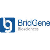 BridGene Biosciences Logo