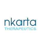 Nkarta Logo