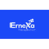 Ernexa Logo
