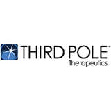Third Pole Logo