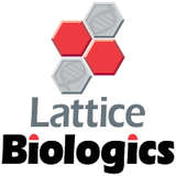 Lattice Biologics Logo