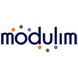 Modulim Logo