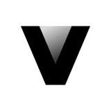 Levee Medical Logo