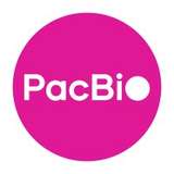 PacBio Logo
