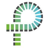 Progressive Orthopaedics Logo