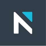 Nelson Worldwide Logo