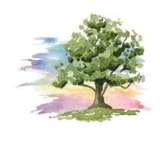 Watercolour Westport Logo