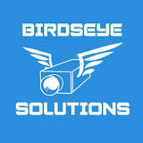 Birdseye Security Logo