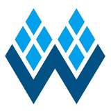 Gowin Semiconductor Logo