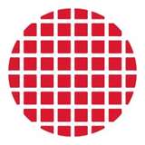 Polar Semiconductor Logo