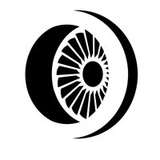 Dynamic AeroSystems Logo