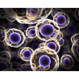 Immix Biopharma Logo