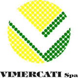 Vimercati Logo
