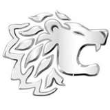 Alelion Energy Systems Logo