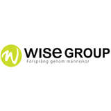 Wise Group Logo